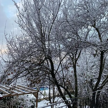 Hotel Zahi Dream Konaklar *